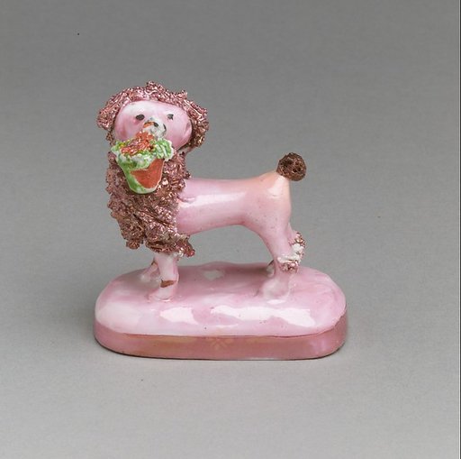 Poodle