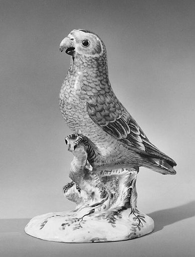 Parrot