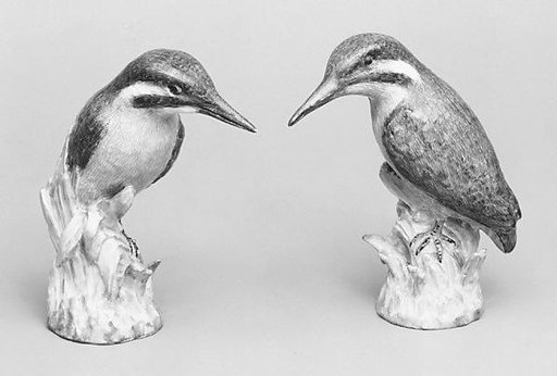 Pair of icebirds