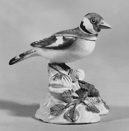 Linnet