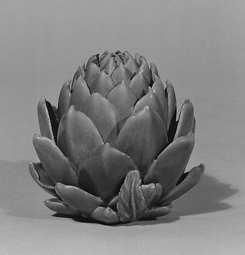 Artichoke forming a box