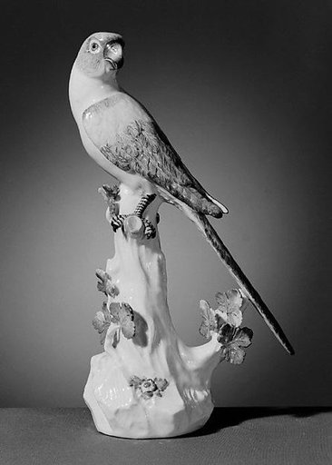 Parakeet