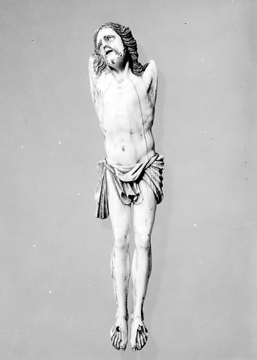 Corpus