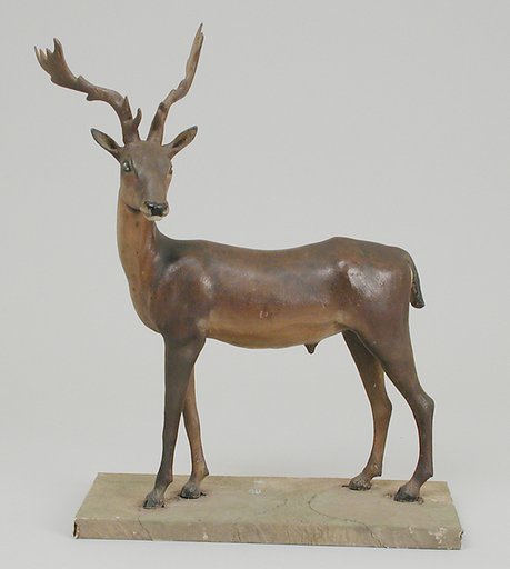 Antlered buck
