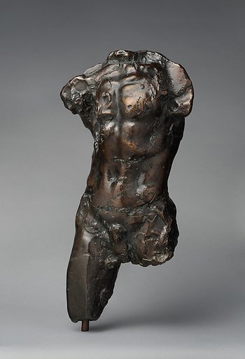 Torso