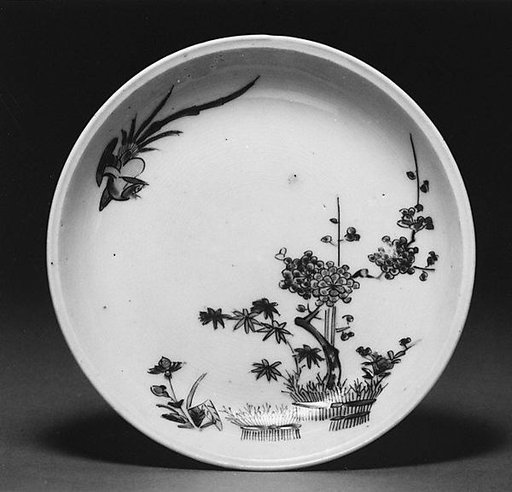 Saucer