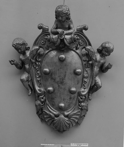 Arms of Counts de Medici