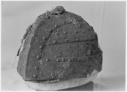 Helmet (Shokakutsuki Kabuto)