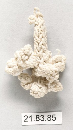 Tassel