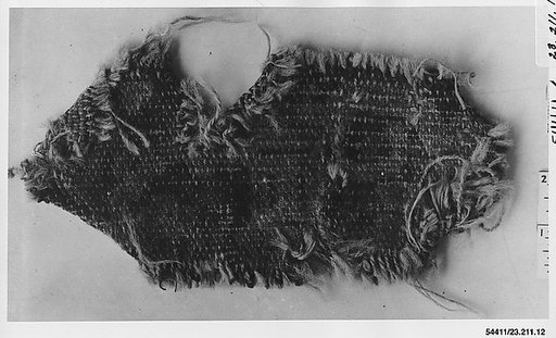 Rug fragment