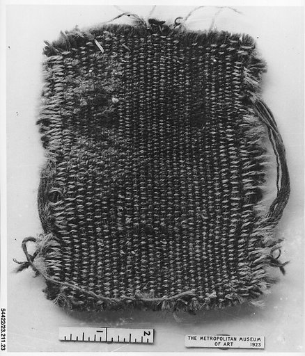 Rug fragment