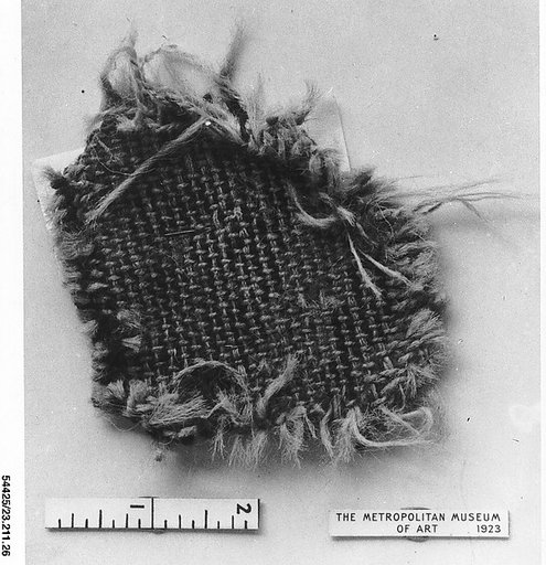 Rug fragment
