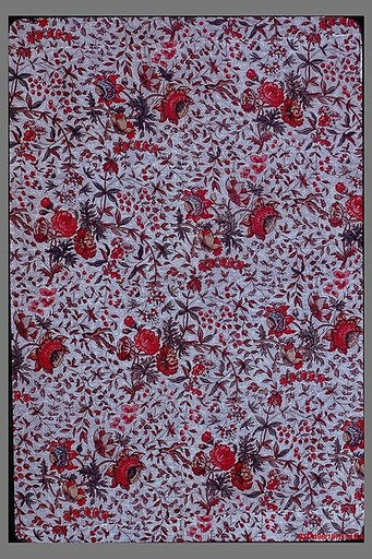 Coverlet