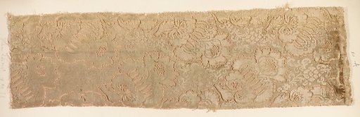 Fragment