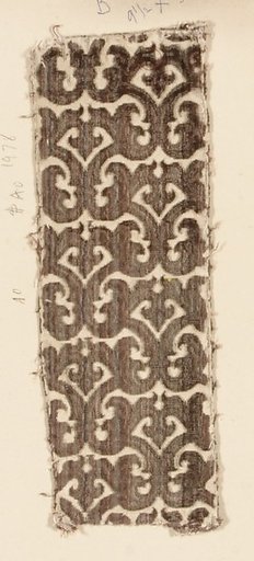 Fragment