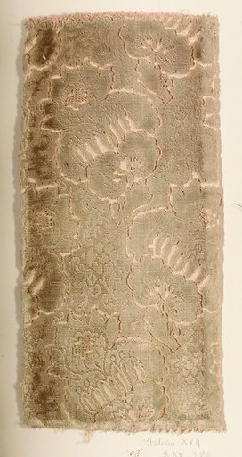 Fragment