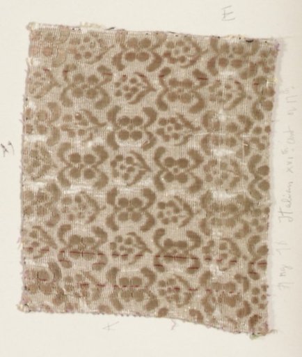 Fragment