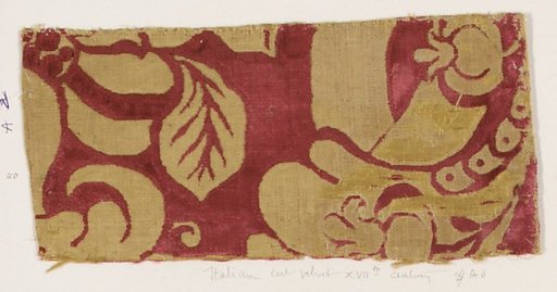 Fragment