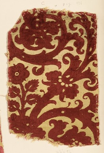 Fragment