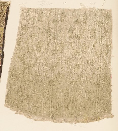Fragment