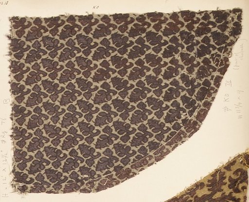 Fragment
