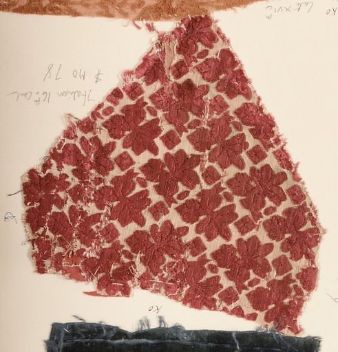 Fragment