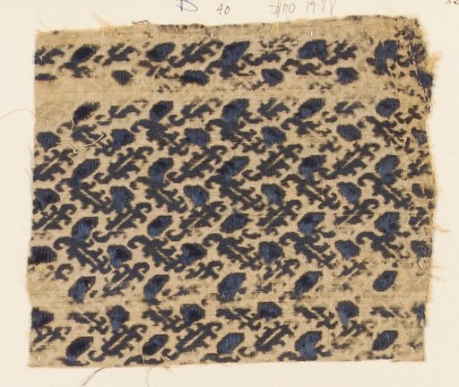 Fragment