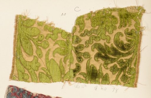 Fragment