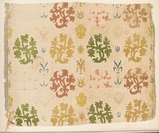 Fragment
