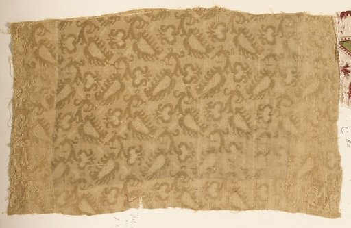 Fragment