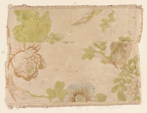 Fragment