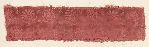 Fragment