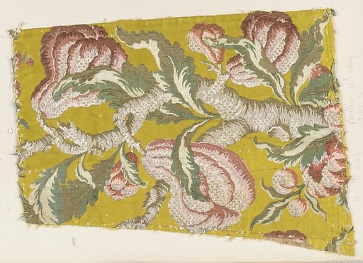 Fragment