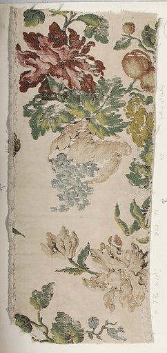 Fragment