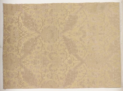 Fragment