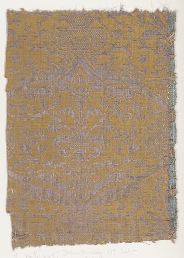 Fragment