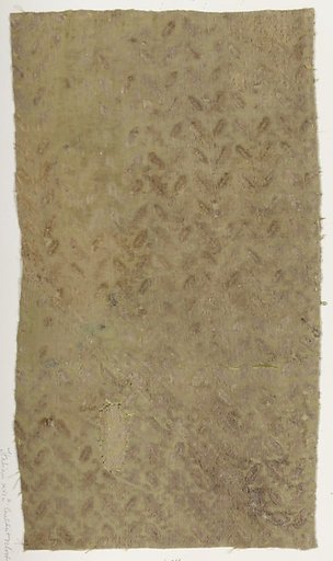 Fragment
