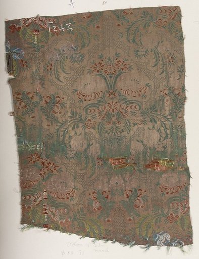 Fragment