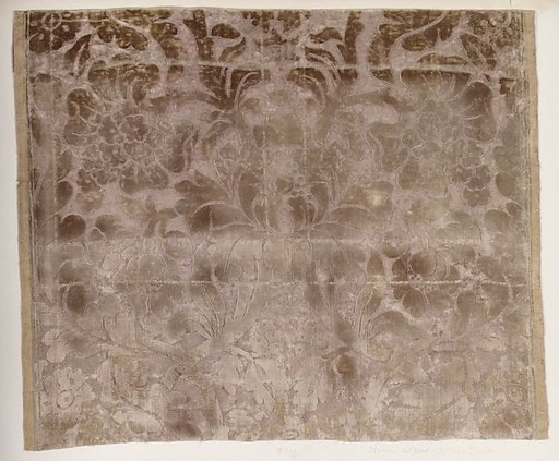Fragment