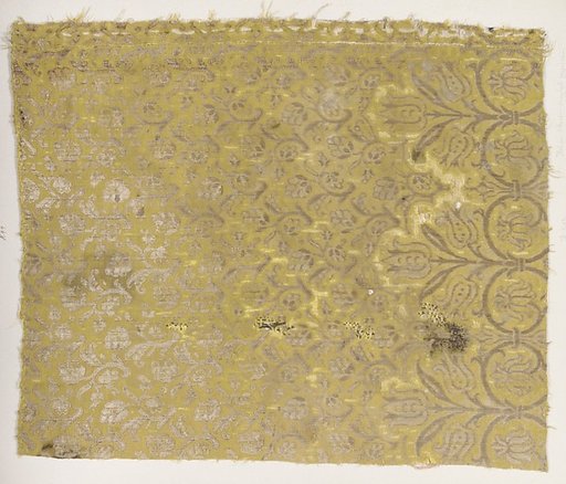 Fragment