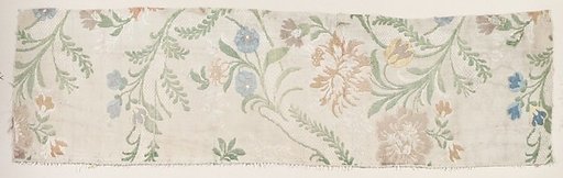 Fragment