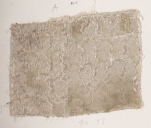 Fragment