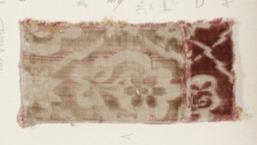 Fragment