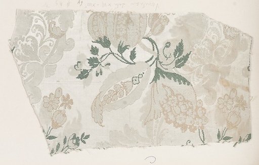 Fragment