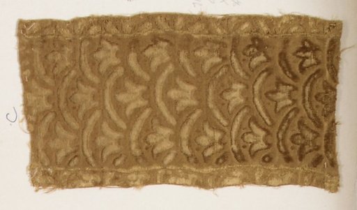 Fragment