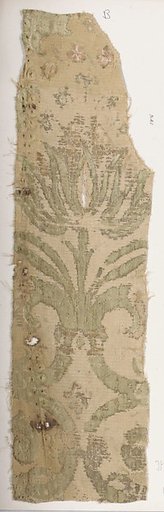 Fragment