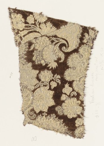 Fragment