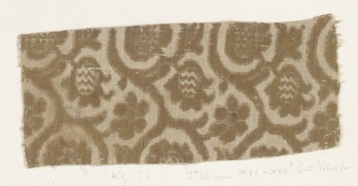 Fragment