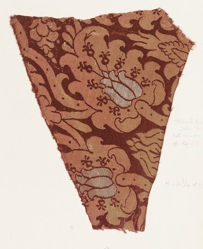 Fragment
