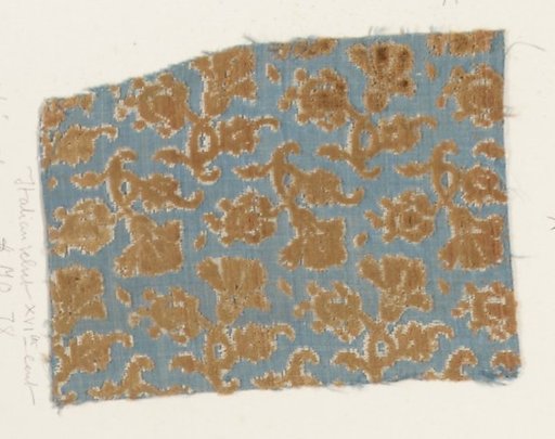 Fragment
